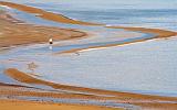 Beached Flowerpot_23533
